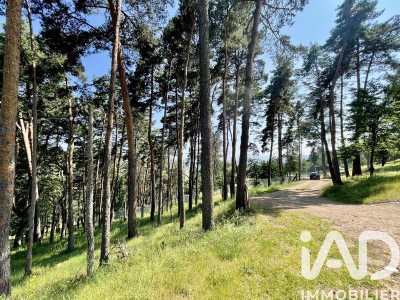 Châlet - 47 m² - 3 pièces