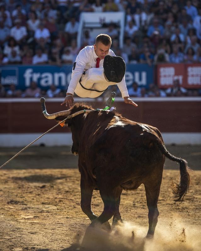 Course landaise à Capbreton