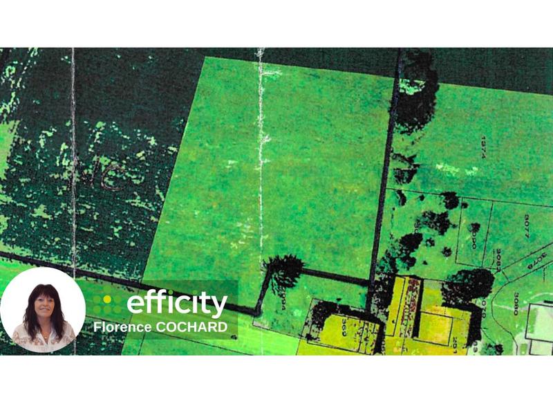 Terrain agricole - 50 000 m²