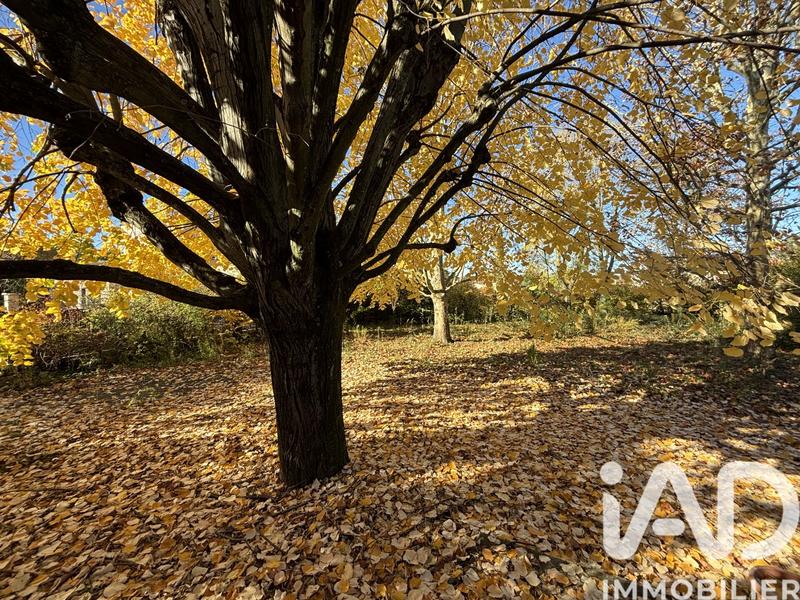 Maison de maîtres - 260 m² - 7 pièces