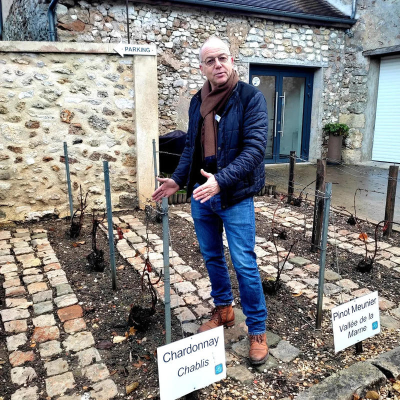 Accueil sur la propriété &amp; espace sensoriel du champagne Lévèque-Dehan