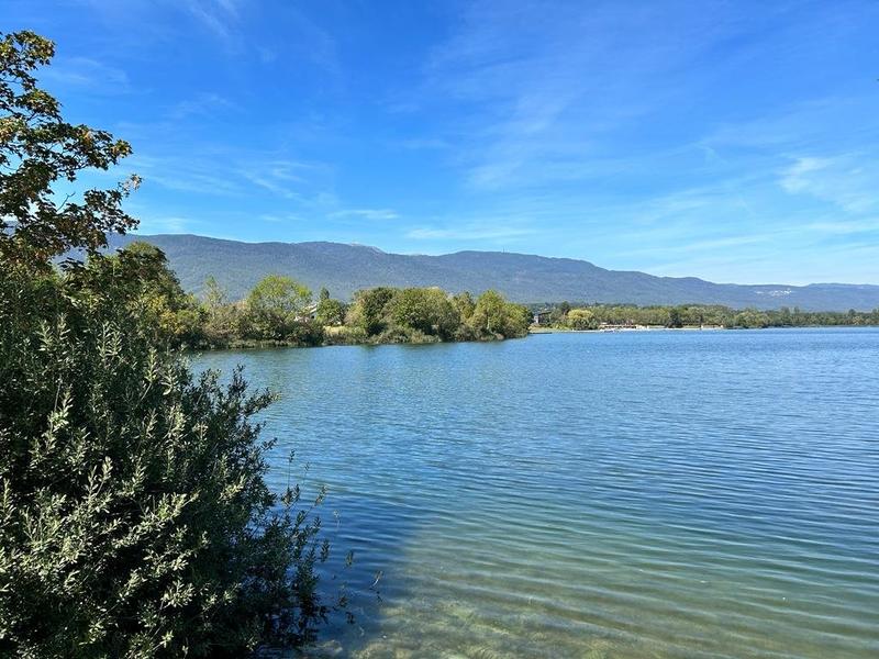 Appartement - 92 m² - 4 pièces