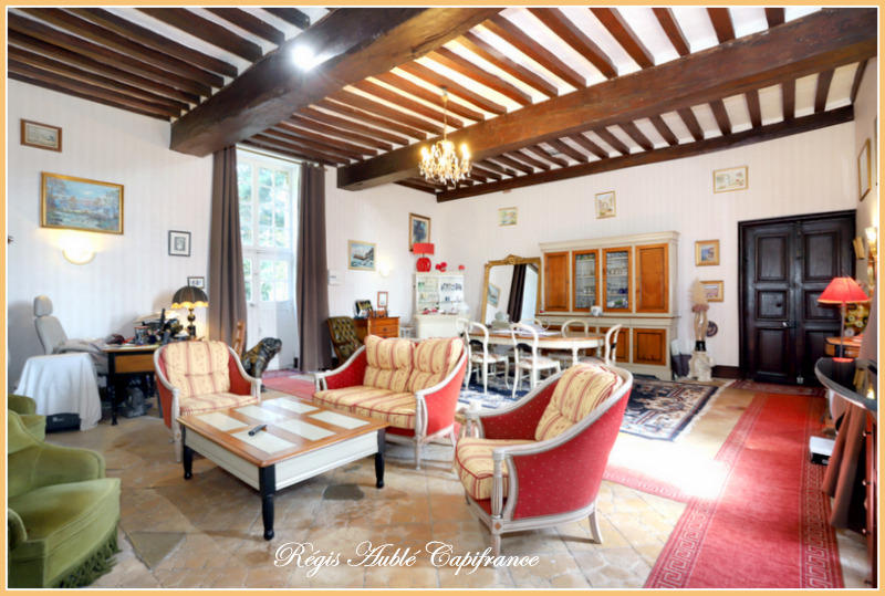 Château - 1 500 m² - 20 pièces