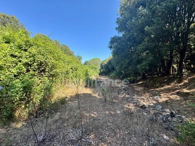 Terrain constructible - 3 380 m²