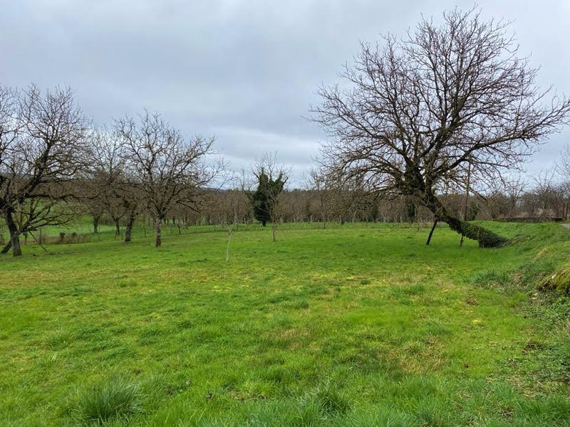 Maison - 85 m² - 3 pièces