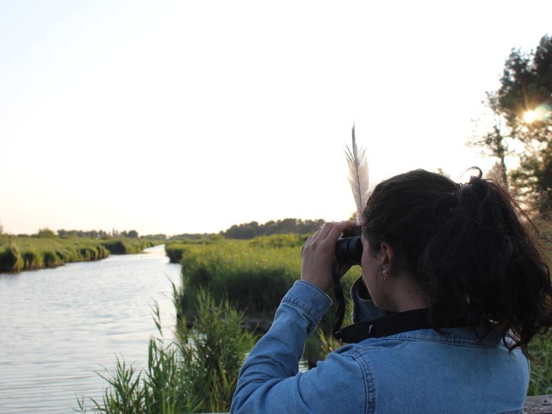 Apéro nature nocturne à Terres d'Oiseaux