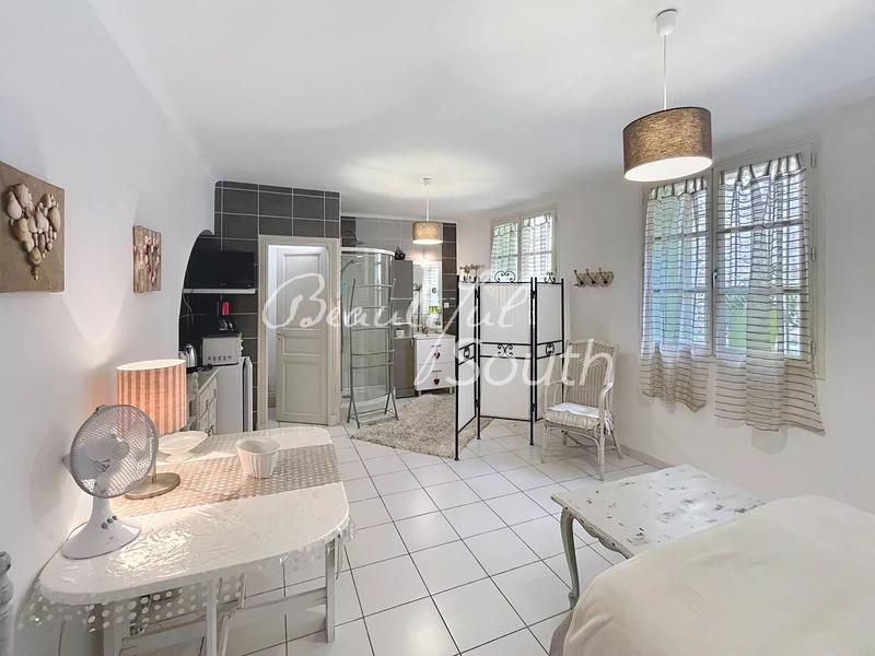 Hôtel particulier - 360 m² - 11 pièces