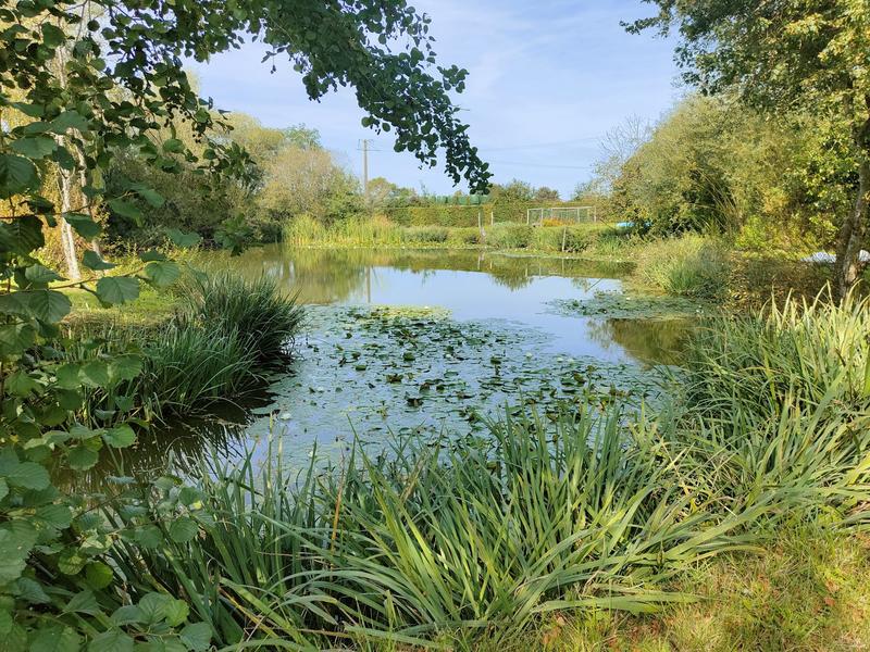 Maison - 371 m² - 17 pièces