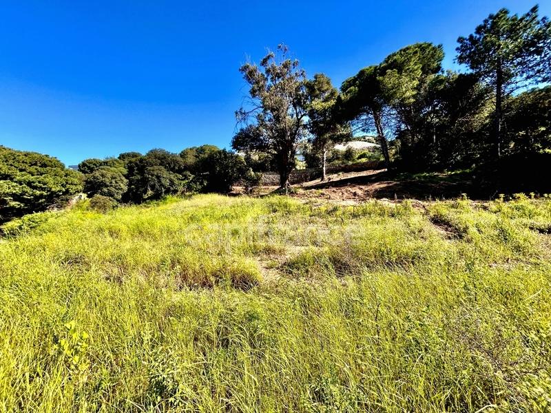 Terrain constructible - 1 378 m²