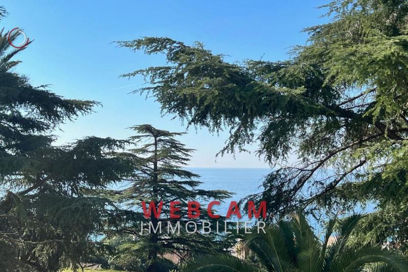 Studio - 38 m² - 1 pièce