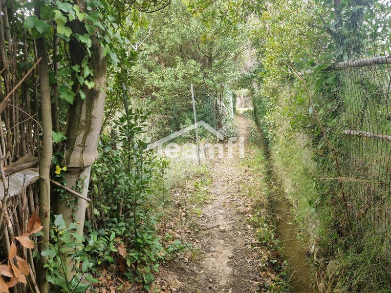 Maison - 226 m² - 8 pièces