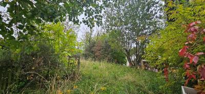 Maison - 240 m² - 10 pièces