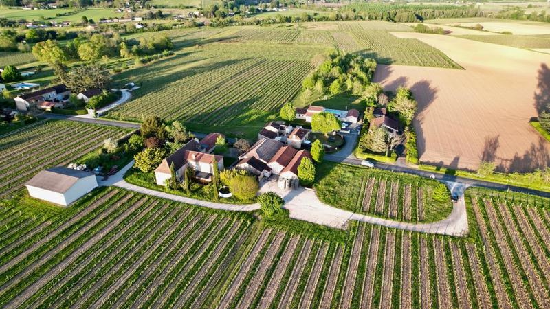 Propriété viticole - 310 m² - 15 pièces