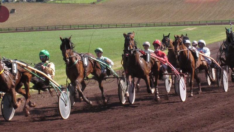 Courses hippiques - Castillonnès
