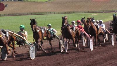 Courses hippiques - Castillonnès