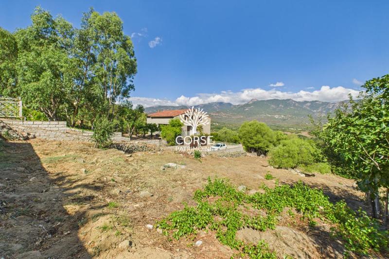 Maison traditionnelle - 250 m² - 5 pièces