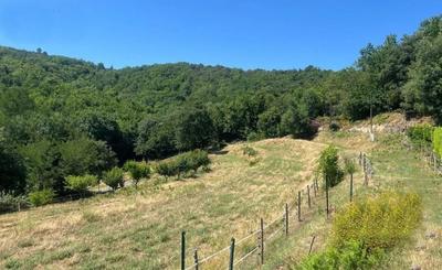 Propriété - 175 m²