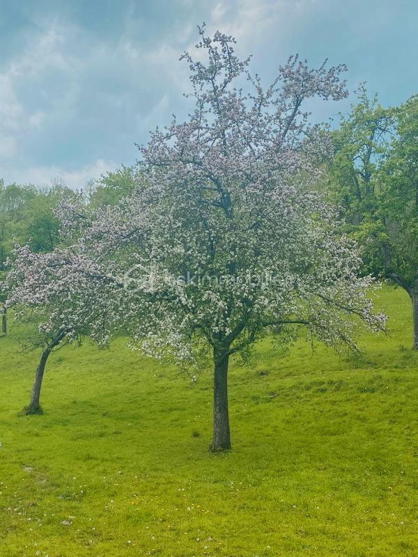 Maison traditionnelle - 70 m² - 4 pièces