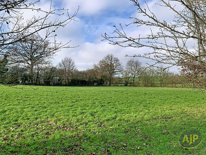 Maison - 230 m² - 6 pièces