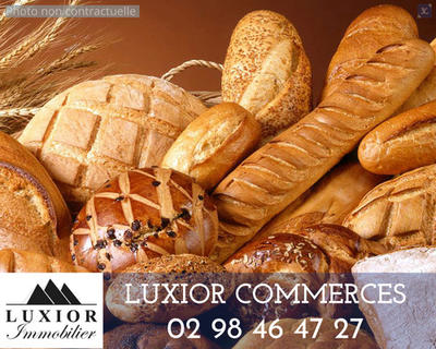 Fonds de commerce - Local d'activité / Entrepôt - 400 m²