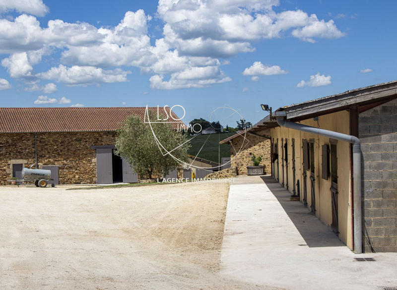 Ferme - 226 m² - 5 pièces