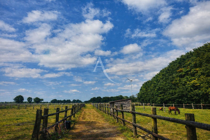 Maison de domaine équestre - 168 m² - 5 pièces