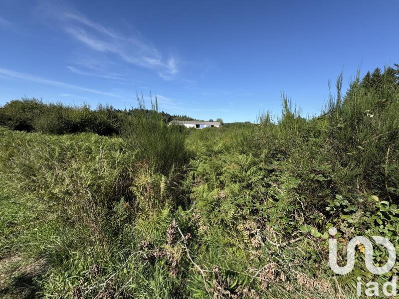 Terrain - 19 141 m²