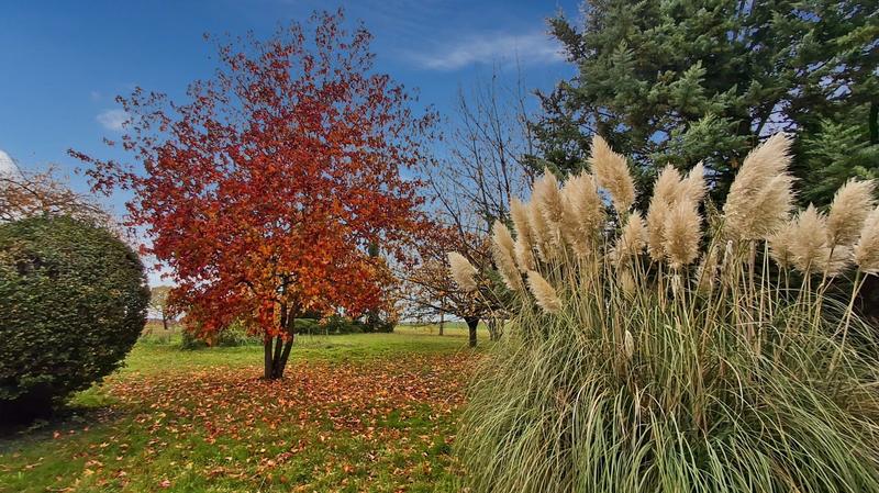 Maison - 223 m² - 9 pièces