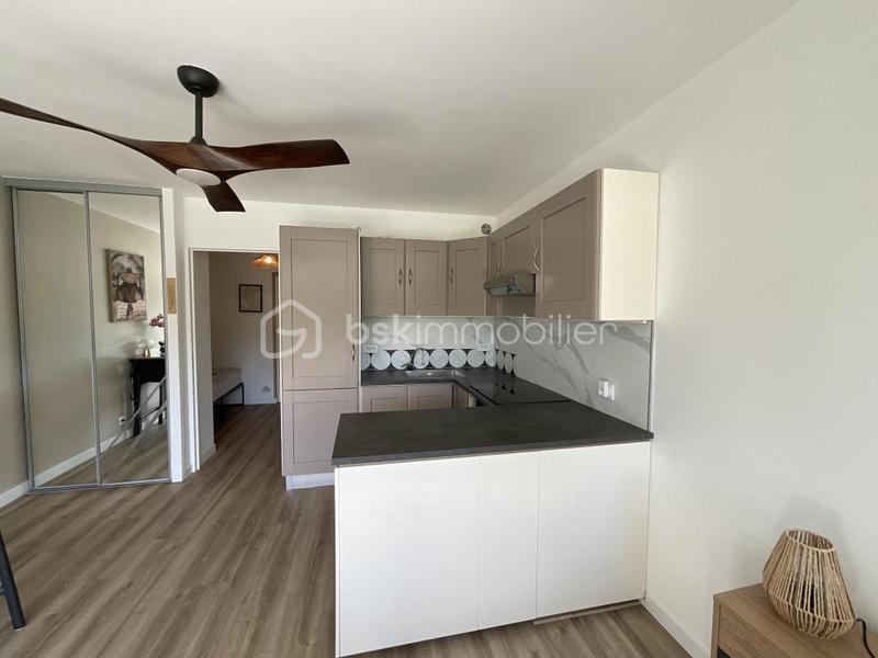 Studio - 24 m² - 1 pièce