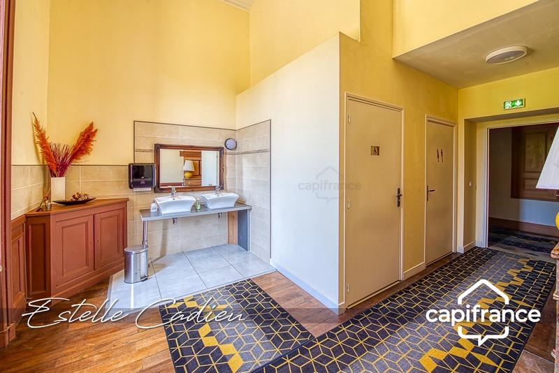 Château - 843 m² - 16 pièces