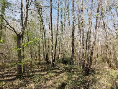 Terrain - 19 000 m²