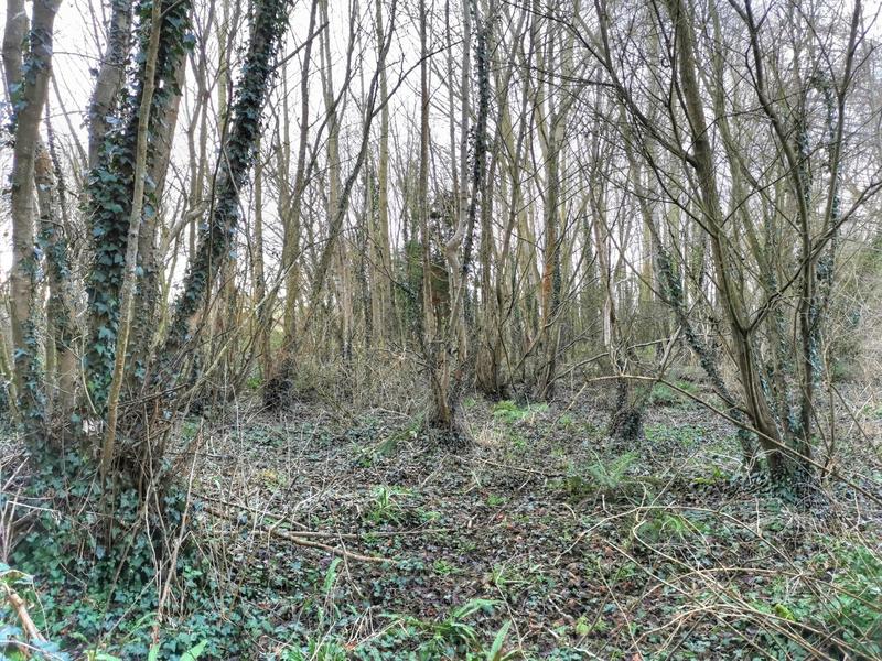 Terrain de loisirs - 14 000 m²