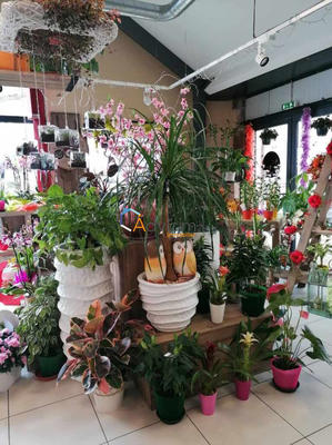 Fonds de commerce - Magasins - 144 m²