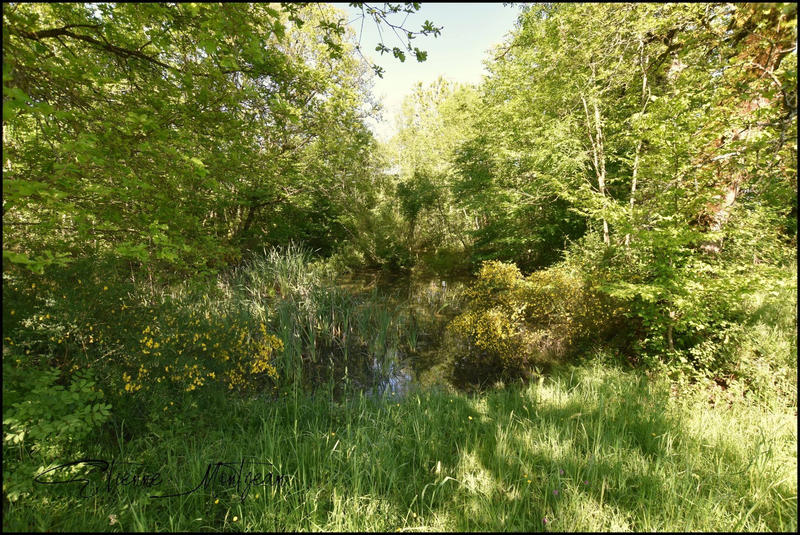 Ferme - 160 m² - 3 pièces