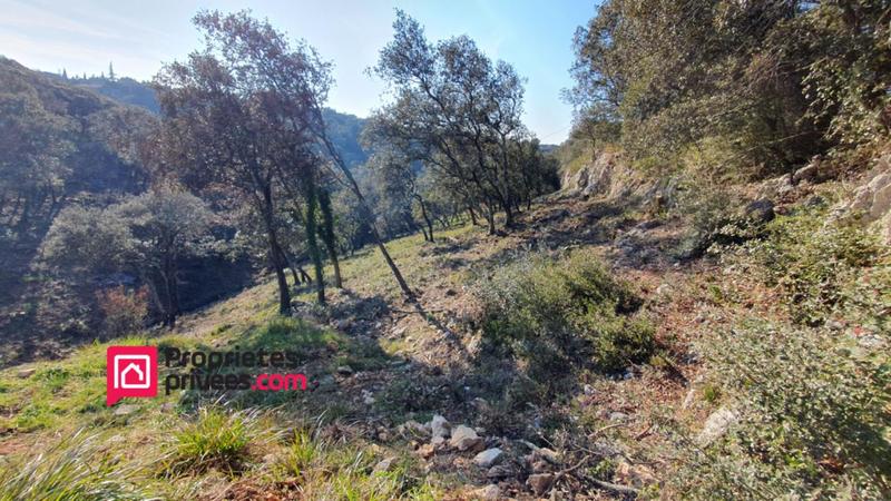 Terrain constructible - 3 000 m²