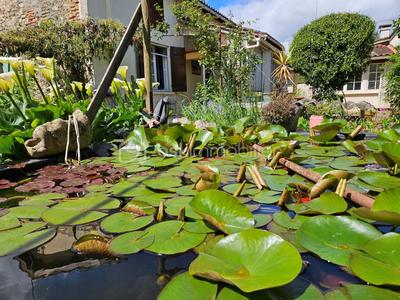 Maison ancienne - 150 m² - 5 pièces