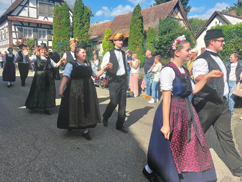 Les vendanges d'antan