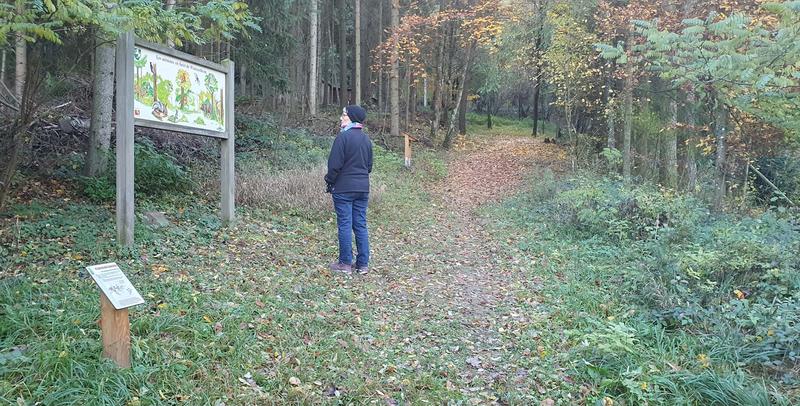 Club Vosgien : Sentier botanique du Vallon d'Aspach