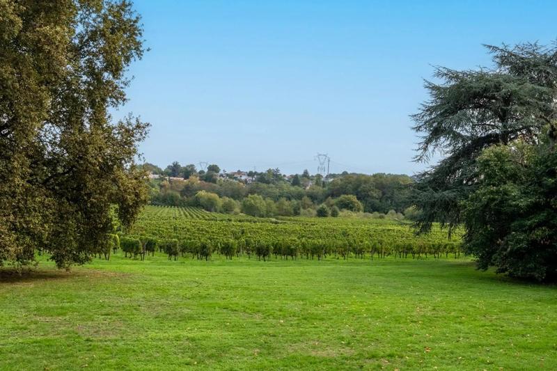 Château - 600 m² - 12 pièces