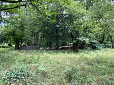 Terrain constructible - 2 355 m²