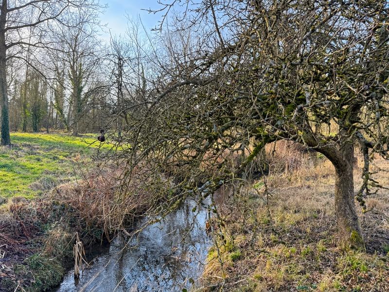 Maison bourgeoise - 173 m² - 7 pièces