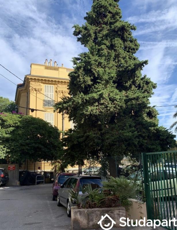 Appartement - 20 m² - 1 pièce