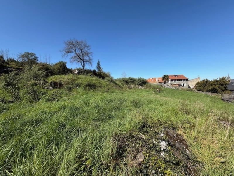 Terrain constructible - 3 593 m²