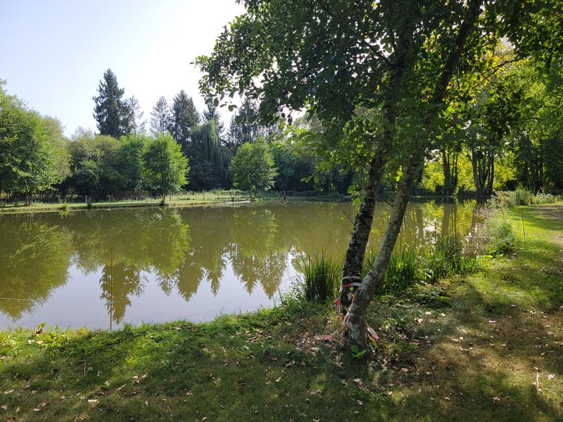 Demeure - 298 m² - 11 pièces