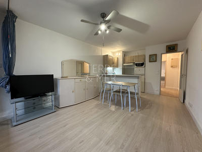 Appartement - 35 m² - 2 pièces