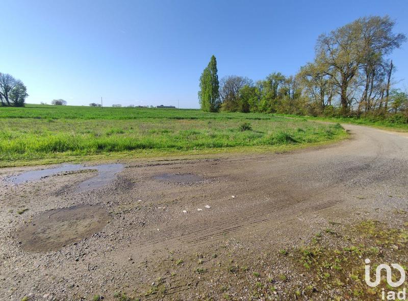 Local commercial - 455 m²