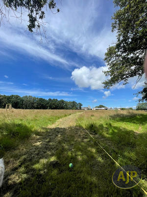 Maison de domaine équestre - 145 935 m²