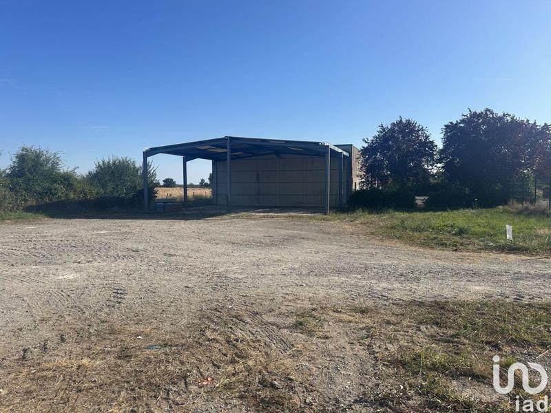 Local commercial - 460 m²