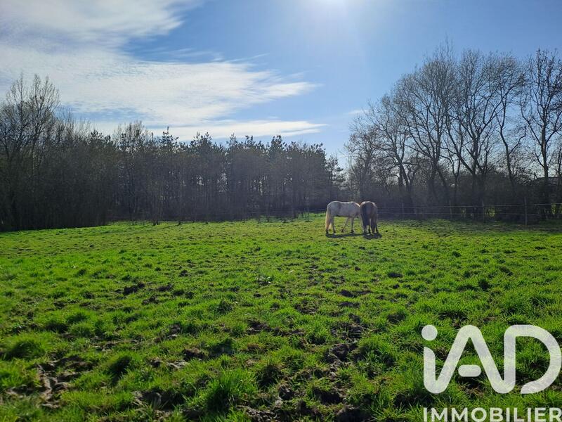 Maison - 175 m² - 6 pièces