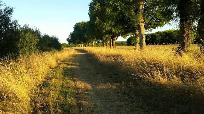 Propriété - 500 m² - 16 pièces